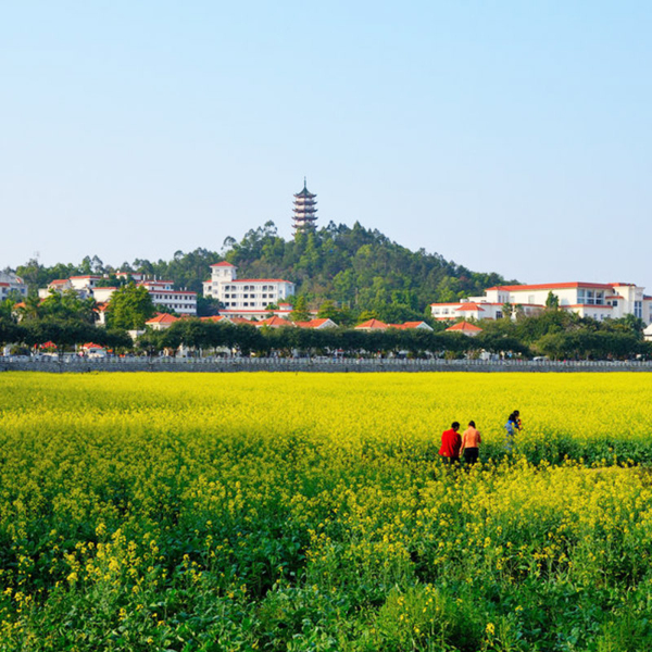 橋頭高純氦氣六氟化硫氬氣甲烷液氮液氧液氬氮氣