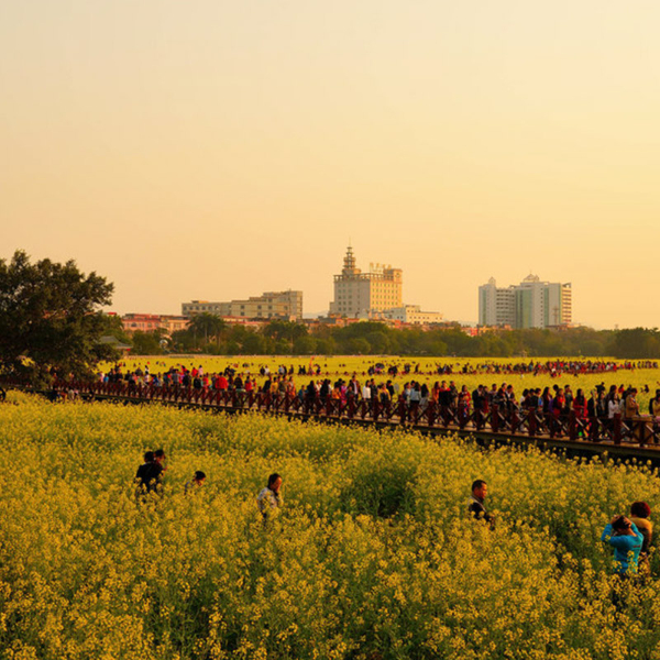 橋頭高純氦氣六氟化硫氬氣甲烷液氮液氧液氬氮氣